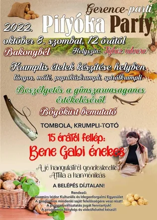 Gerence-parti Pityóka Party borítóképe