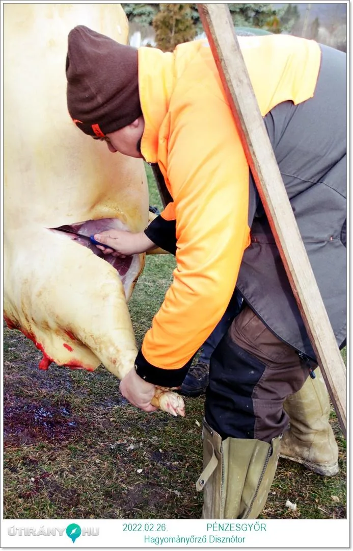 Fotók, Útirány.hu