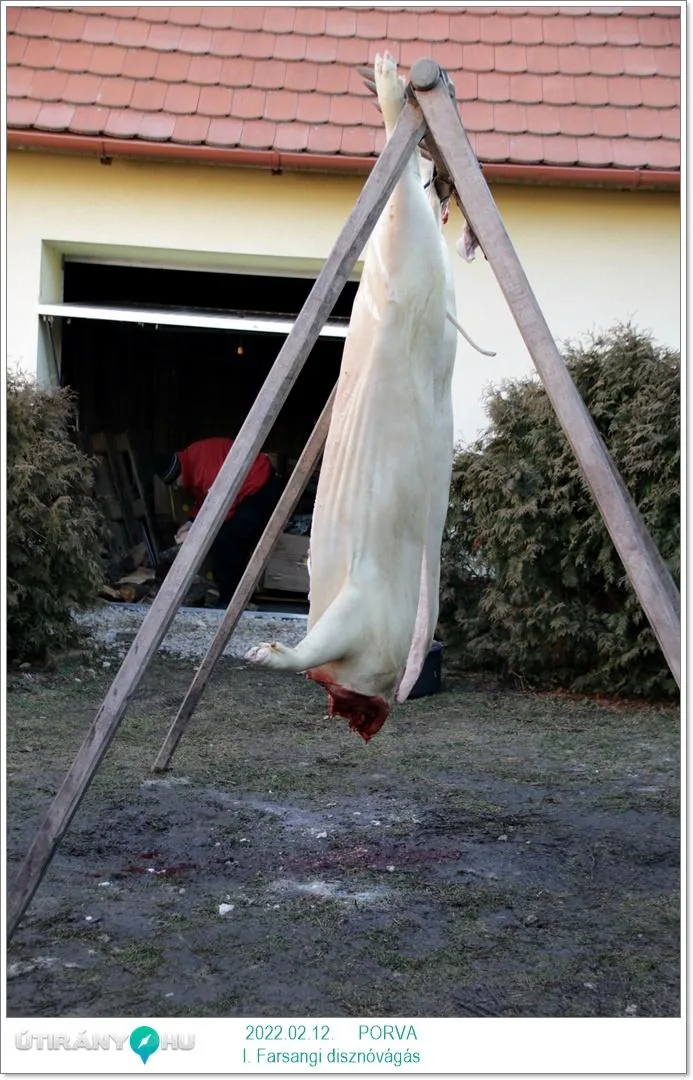 Fotók, Útirány.hu 