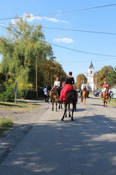Szüreti felvonulás és utcabál
