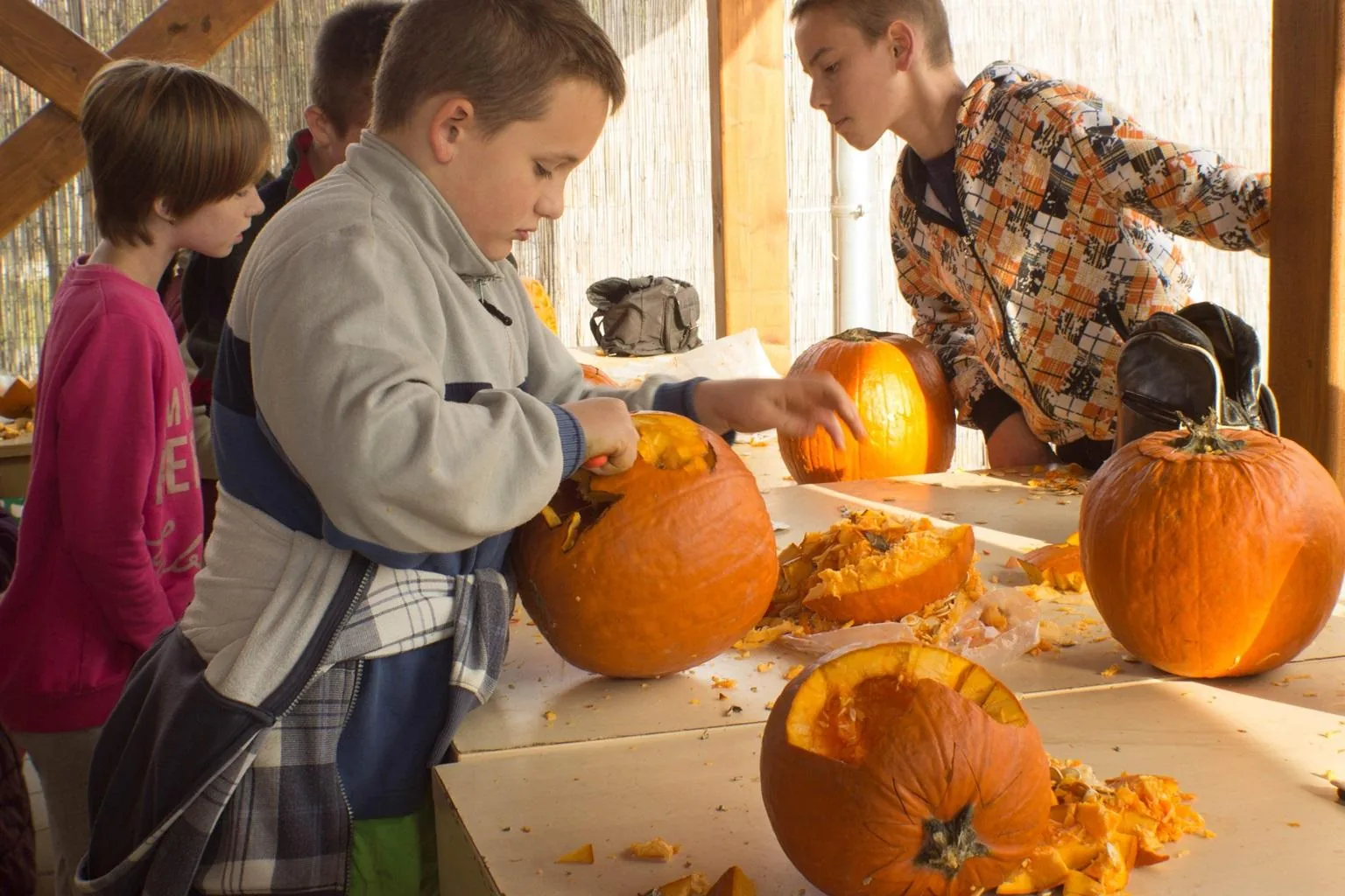 Tökfesztivál 2018. Képek: Babai Lalinda