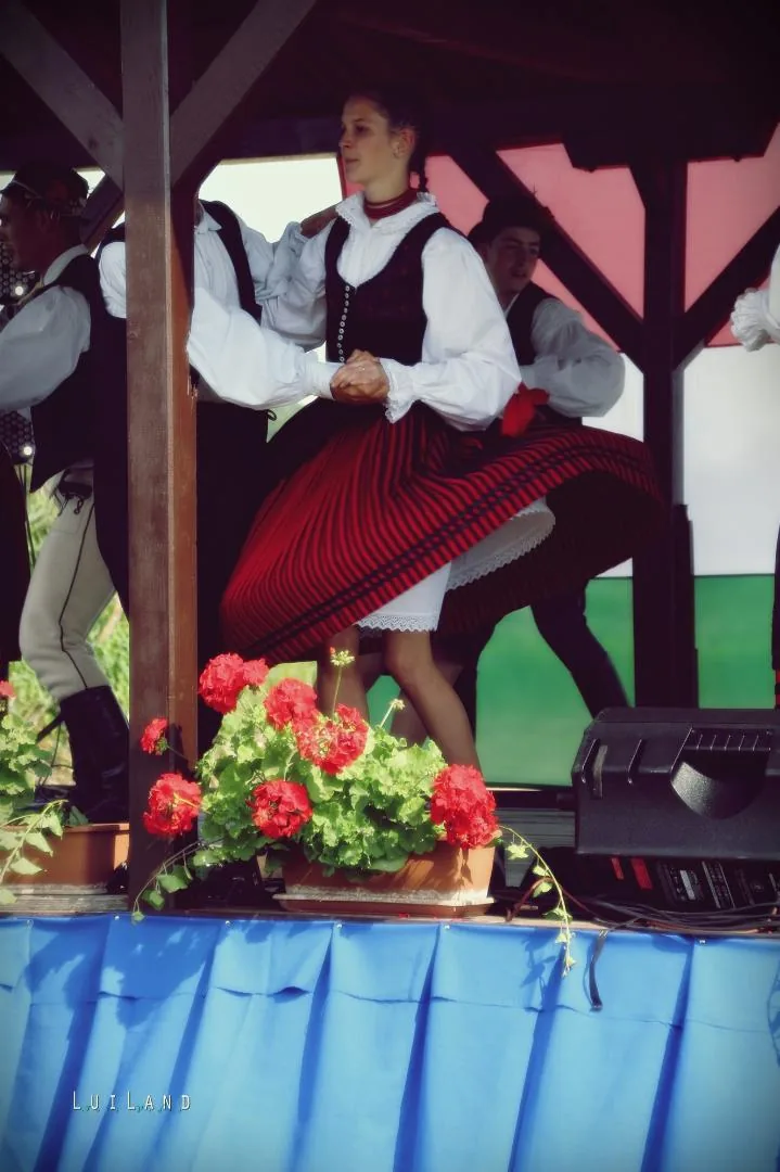 Hungarikum Fesztivál 2018, Fotók: LuiLand