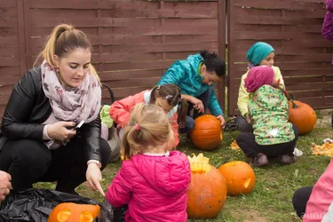 Fotók 2 album: Babai Lalinda