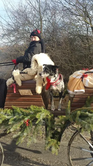 Nálunk járt a Mikulás