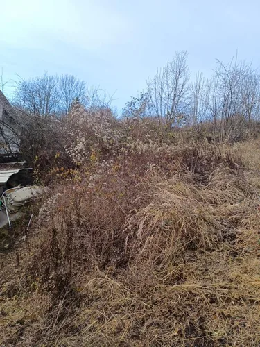 Elhanyagolt terület megtisztítása volt a feladat