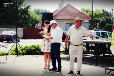 V. Sólyi Falunap
