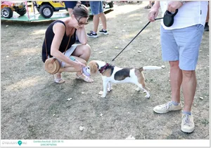 Fotók: Útirány.hu