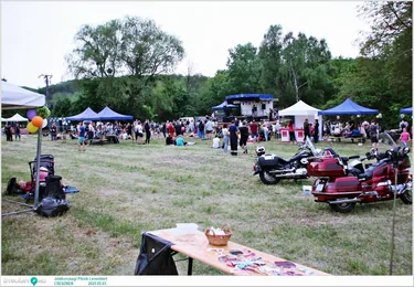 Jótékonysági Piknik Leventéért