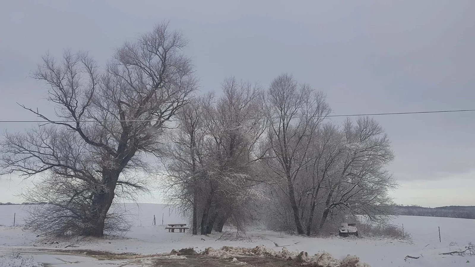 Fotó: Veinperlné Kovács Andrea