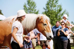 2019 Bakonyi Vágta. Fotók: Útirány.hu
