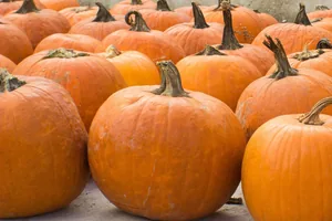 Tökfesztivál 2018. Képek: Babai Lalinda