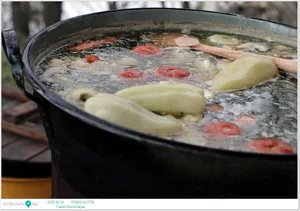 Fotók: Útirány.hu