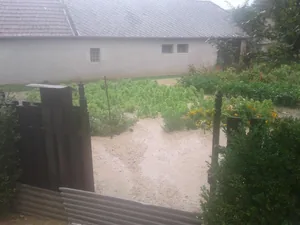 Gerence Pénzesgyőr 2018.09.04.