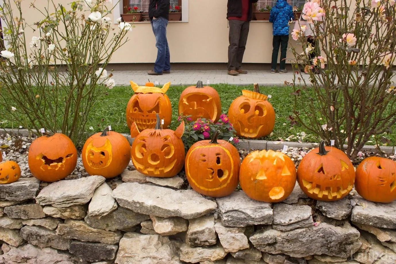 Fotók 2 album: Babai Lalinda