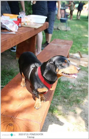 Fotók, Útirány.hu