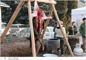 Fotók: Útirány.hu, Kiss Szabó Zoltán