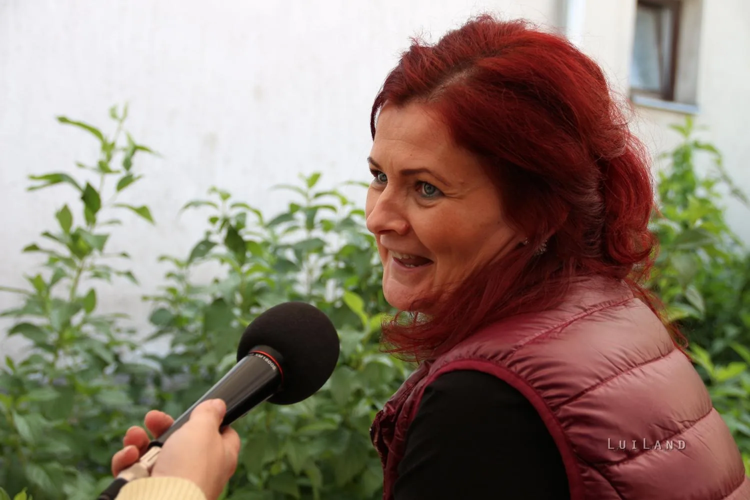 Kora délután, fotók: BakonyiHírek