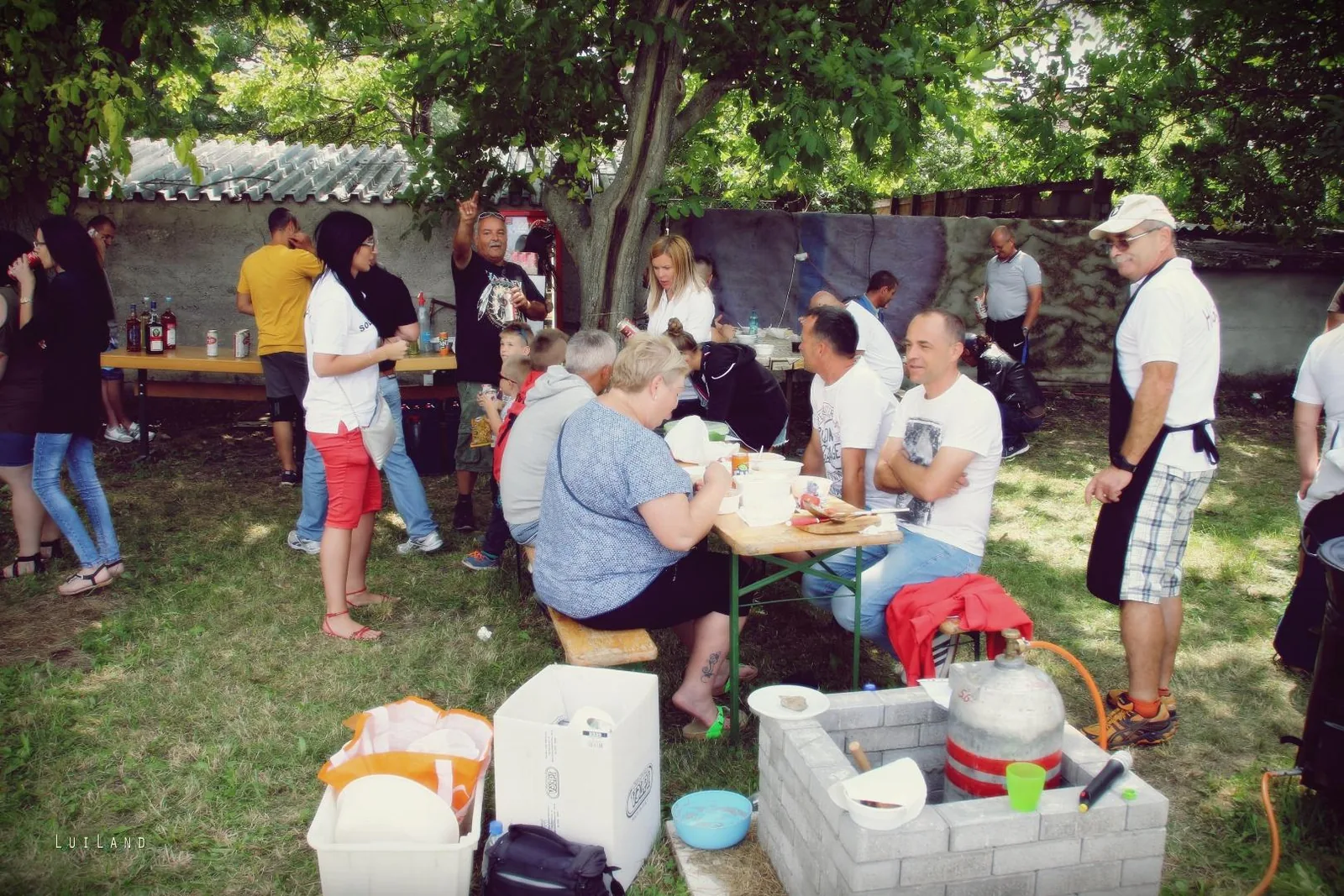 Falunap Fotó: LuiLand