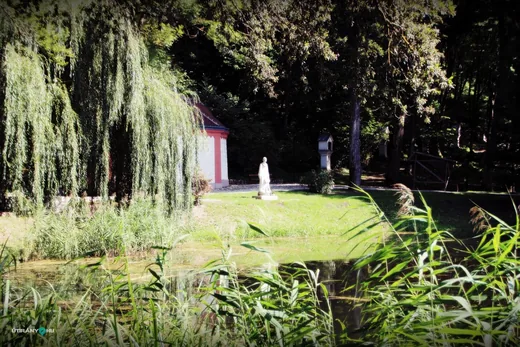 'Befejeződtek a régészeti feltárások a Bakonybél-Szentkút lelőhelyen' cikk borítóképe