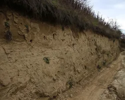 Gyurgyalag fészkelőhely borítóképe