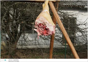 Fotók: Útirány.hu, Kiss Szabó Zoltán