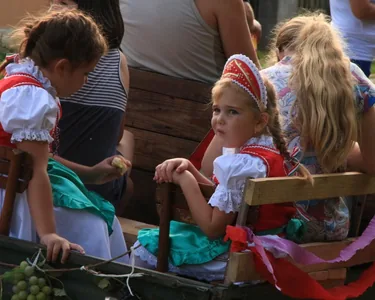 Jásd, Szüreti felvonulás 2015
