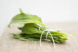 IV. Fenyőfői Medvehagymás Családi Nap borítóképe