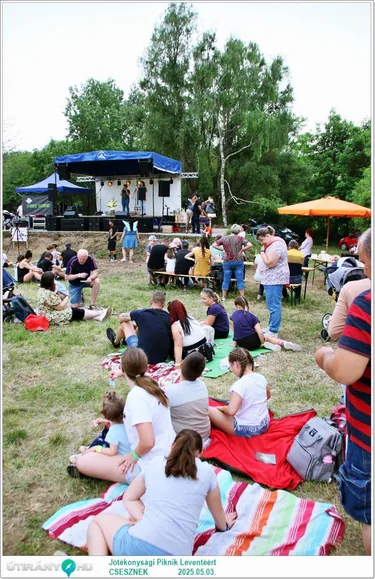 Jótékonysági Piknik Leventéért