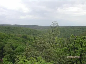 Képek videó 2013 Odvaskő-barlang