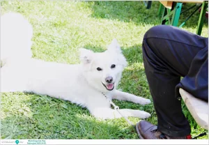 Képek az eseményről: Útirány.hu