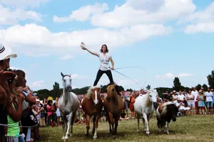 2019 Bakonyi Vágta. Fotók: Útirány.hu
