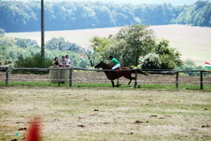 2019 Bakonyi Vágta. Fotók: Útirány.hu