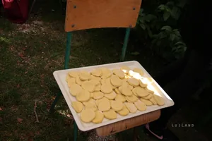 Kora délután, fotók: BakonyiHírek