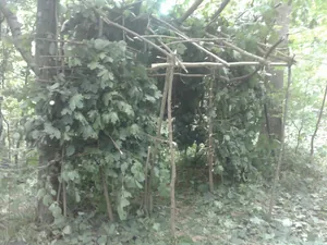 Napközis tábor képek 2018