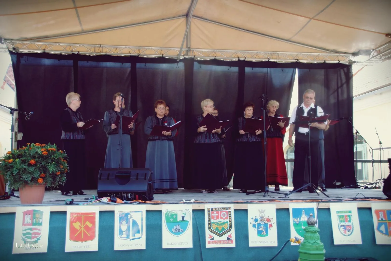 Millenniumi Falunap 2018, Képek: LuiLand