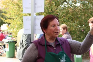 Kora délután, fotók: BakonyiHírek