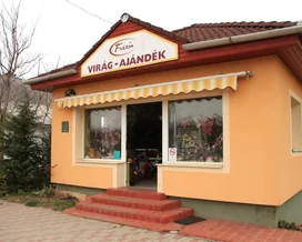 Frézia Virág és Ajándék borítóképe