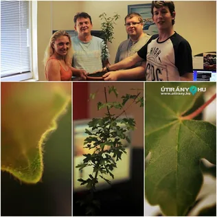 A jó cél érdekében! borítóképe