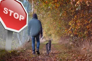 Vadászati figyelemfelhívás borítóképe