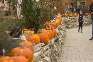 Tökfesztivál 2018. Képek: Babai Lalinda