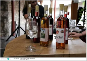 M.É.Z. zenekar és Sápi borkostoló estje