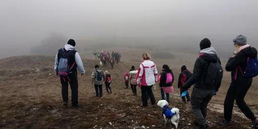 'IV. Palotai Zimankó-túra' cikk borítóképe