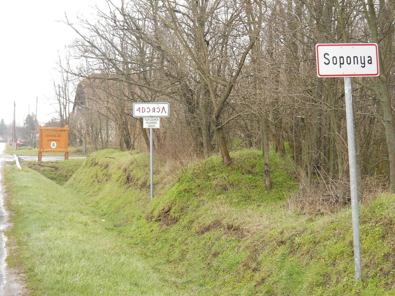 Fotó: Szeder László 