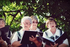 Falunap Fotó: LuiLand