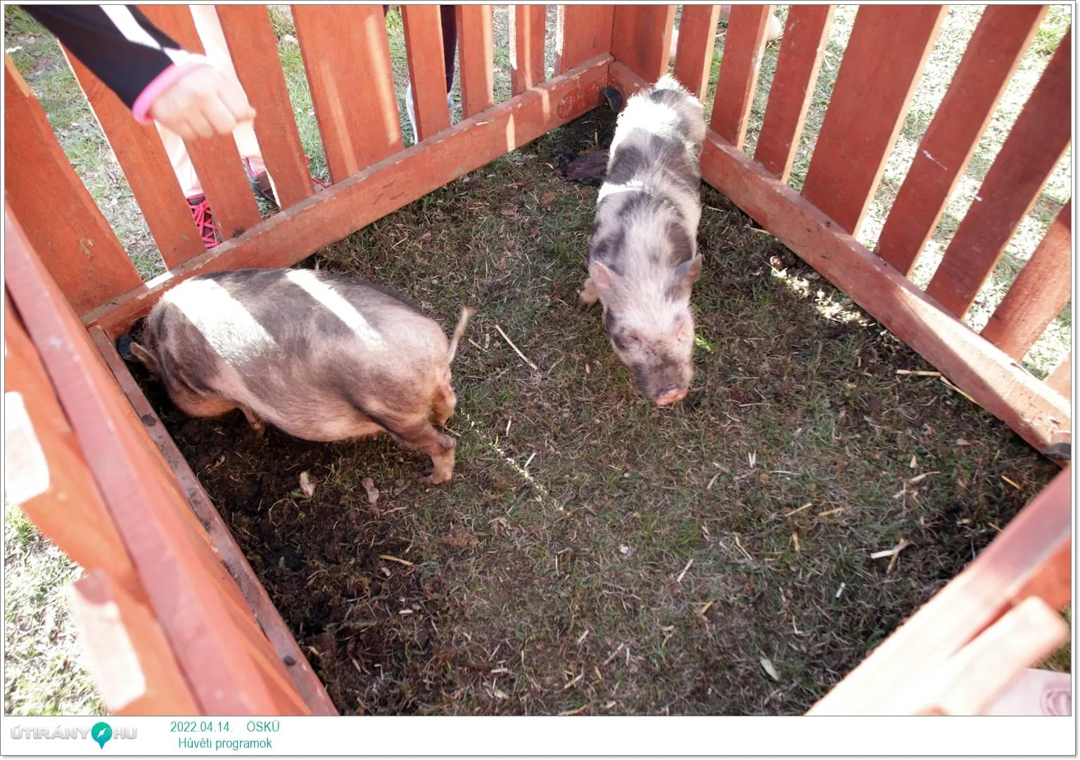 2022.04.14. csütörtöki nap Fotók: Útirány.hu