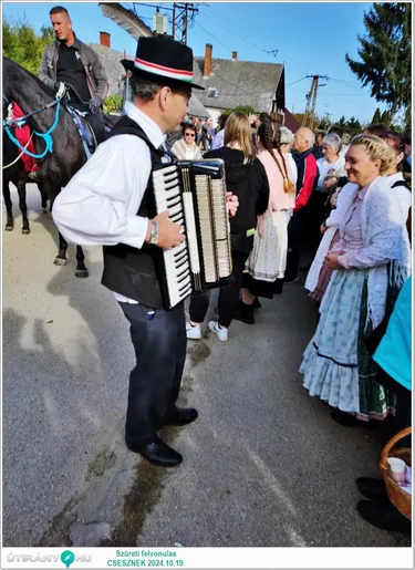 Szüreti felvonulás és Bál
