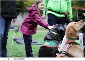 Fotók, Útirány.hu