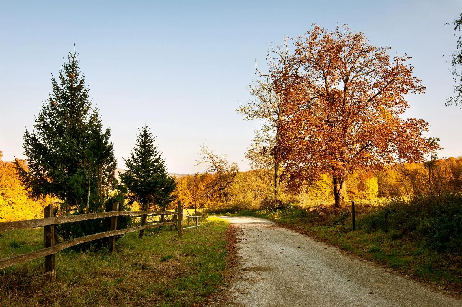 Fotó: Pesty Márton