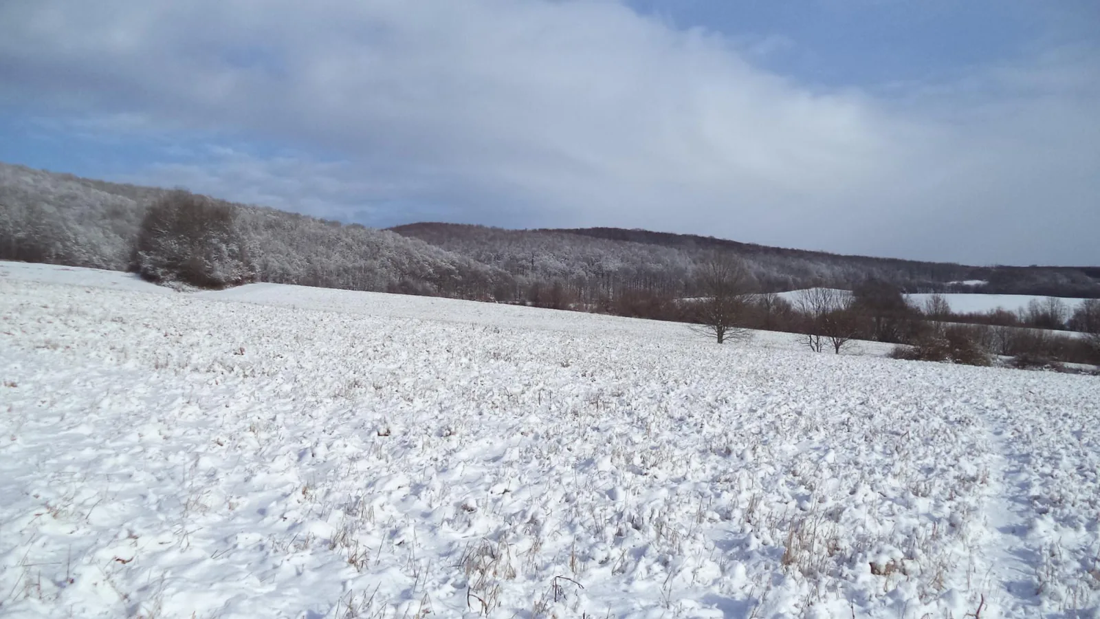 Téli Bakony, Fotók: Vilmos Weiszgerber 